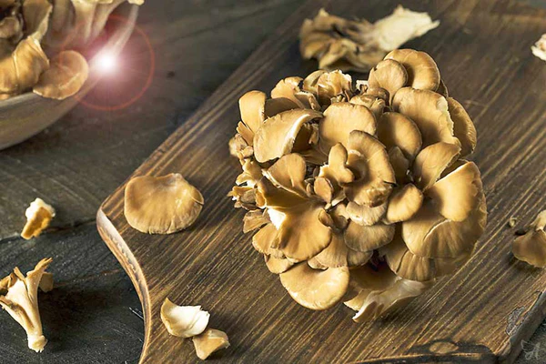 traditional mushrooms