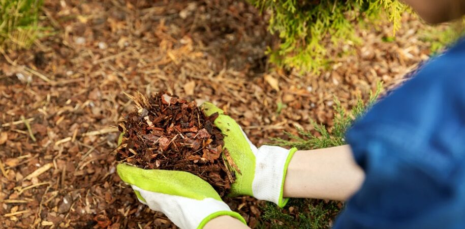 Landscaping Project